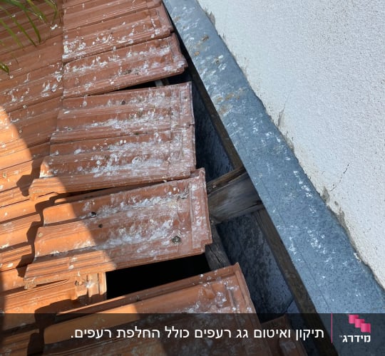 רעפים כתומים עם לכלוך על גג ליד קיר לבן